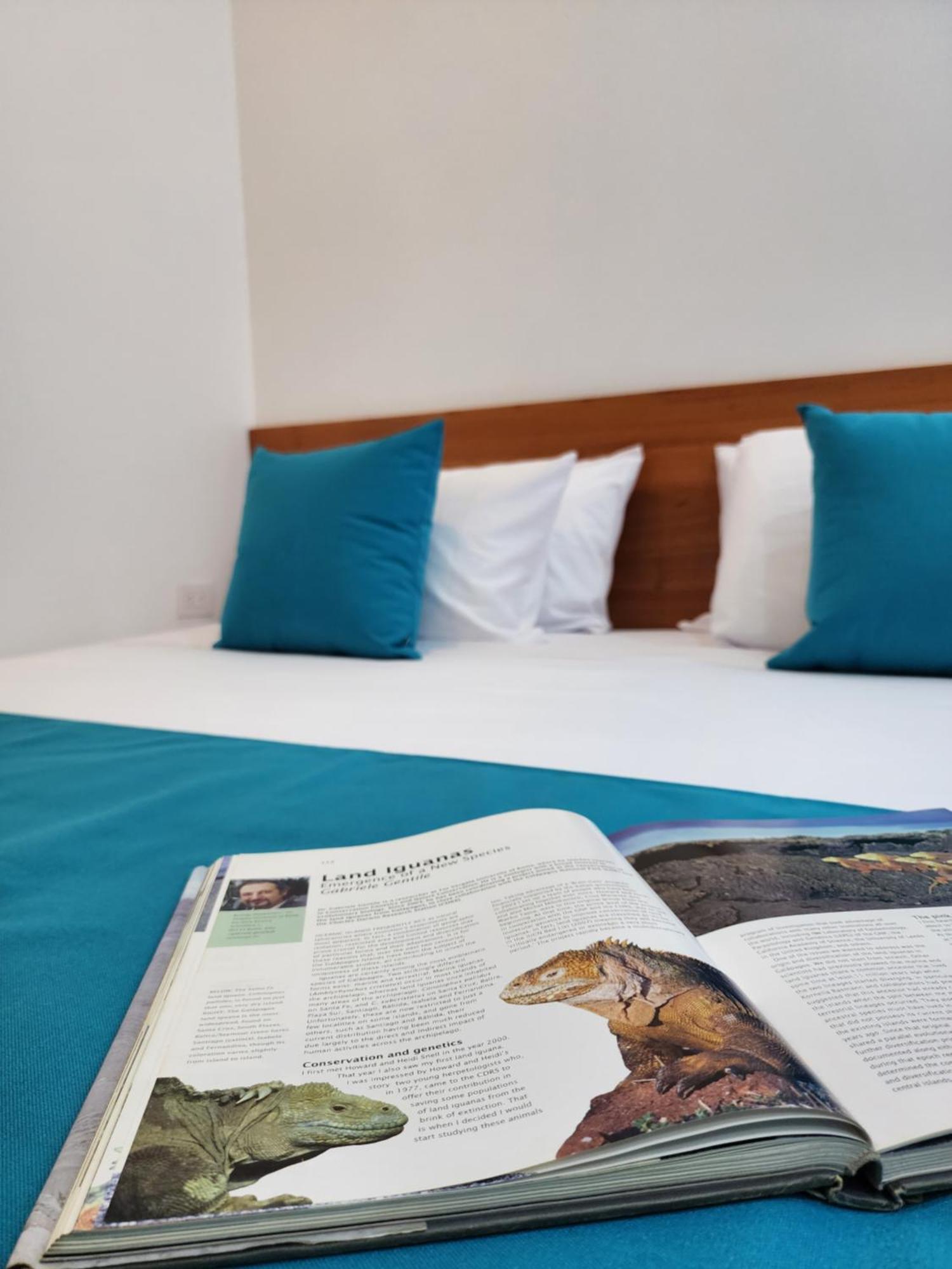 Casa Galapagos By Hostal Fragata Puerto Ayora  Kültér fotó